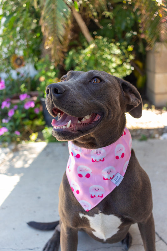 The Pink One Bandana
