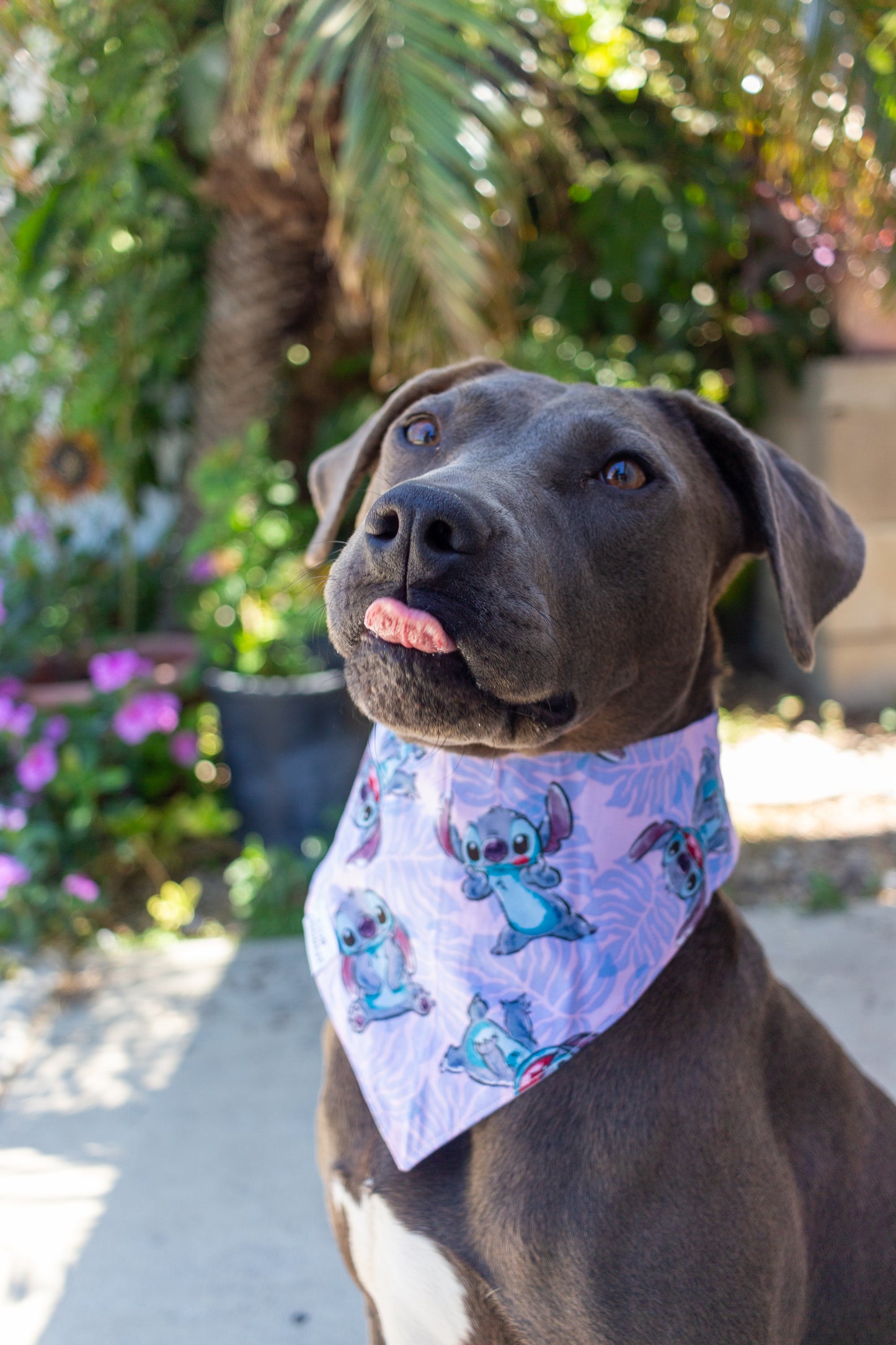 Blue Alien Bandana