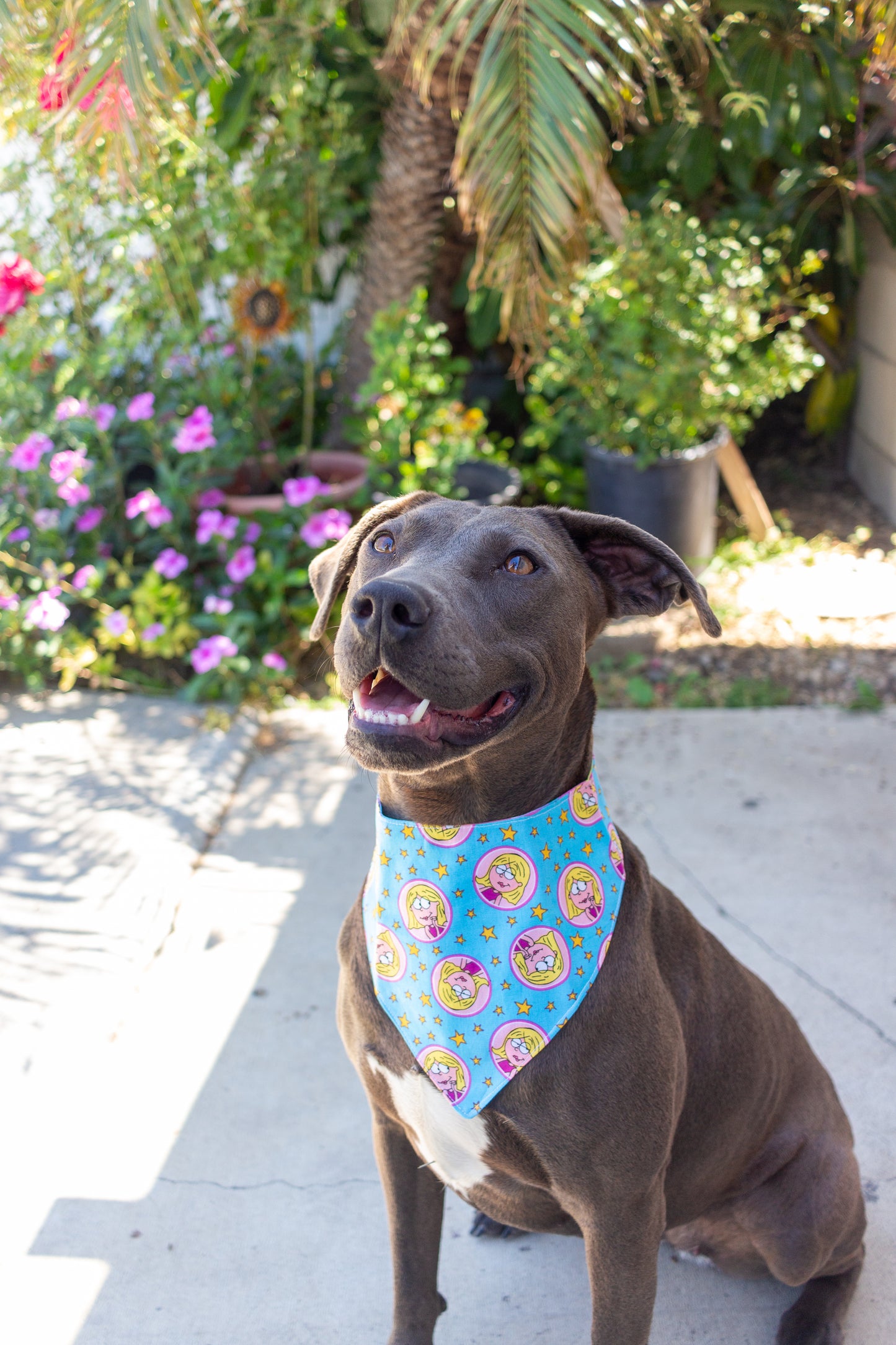 Lizzie Bandana