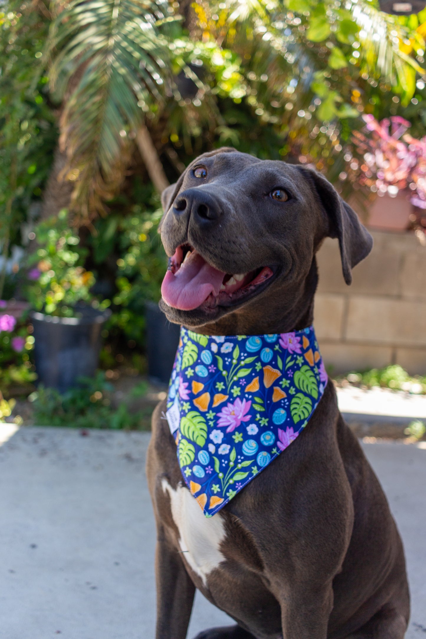 Purple Dinos Bandana