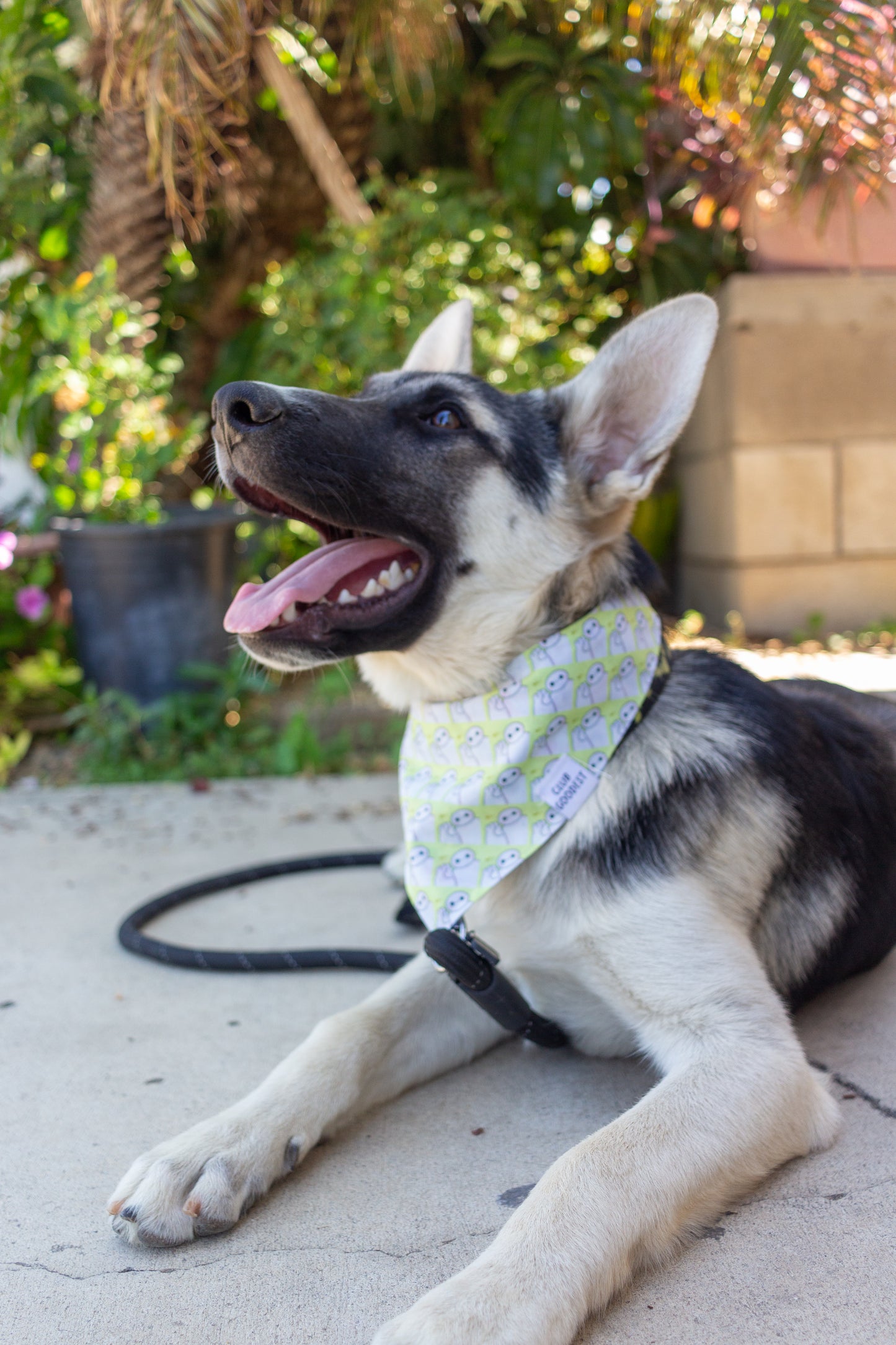 Personal Healthcare Companion Bandana