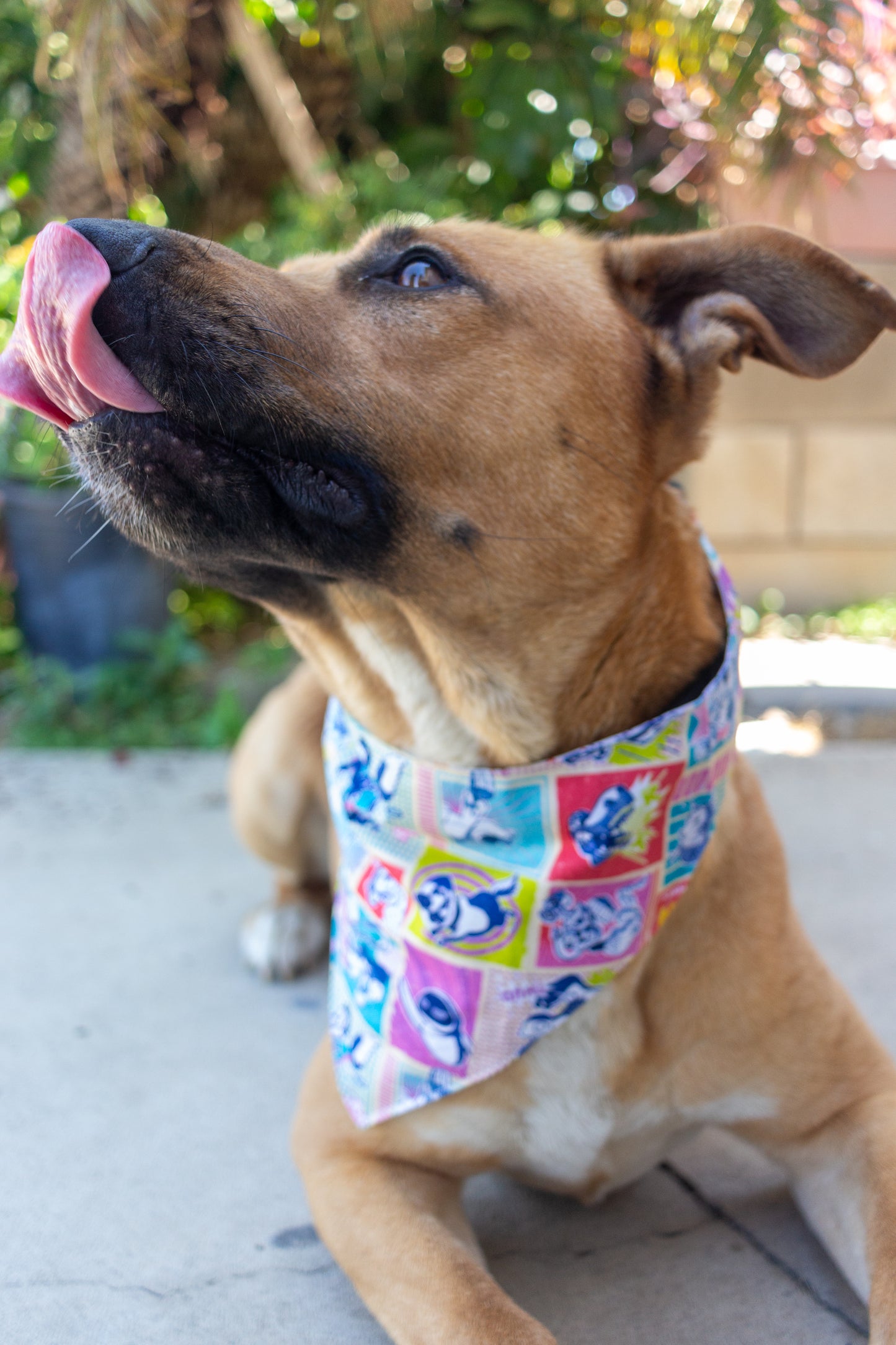 Pixie Friends Bandana