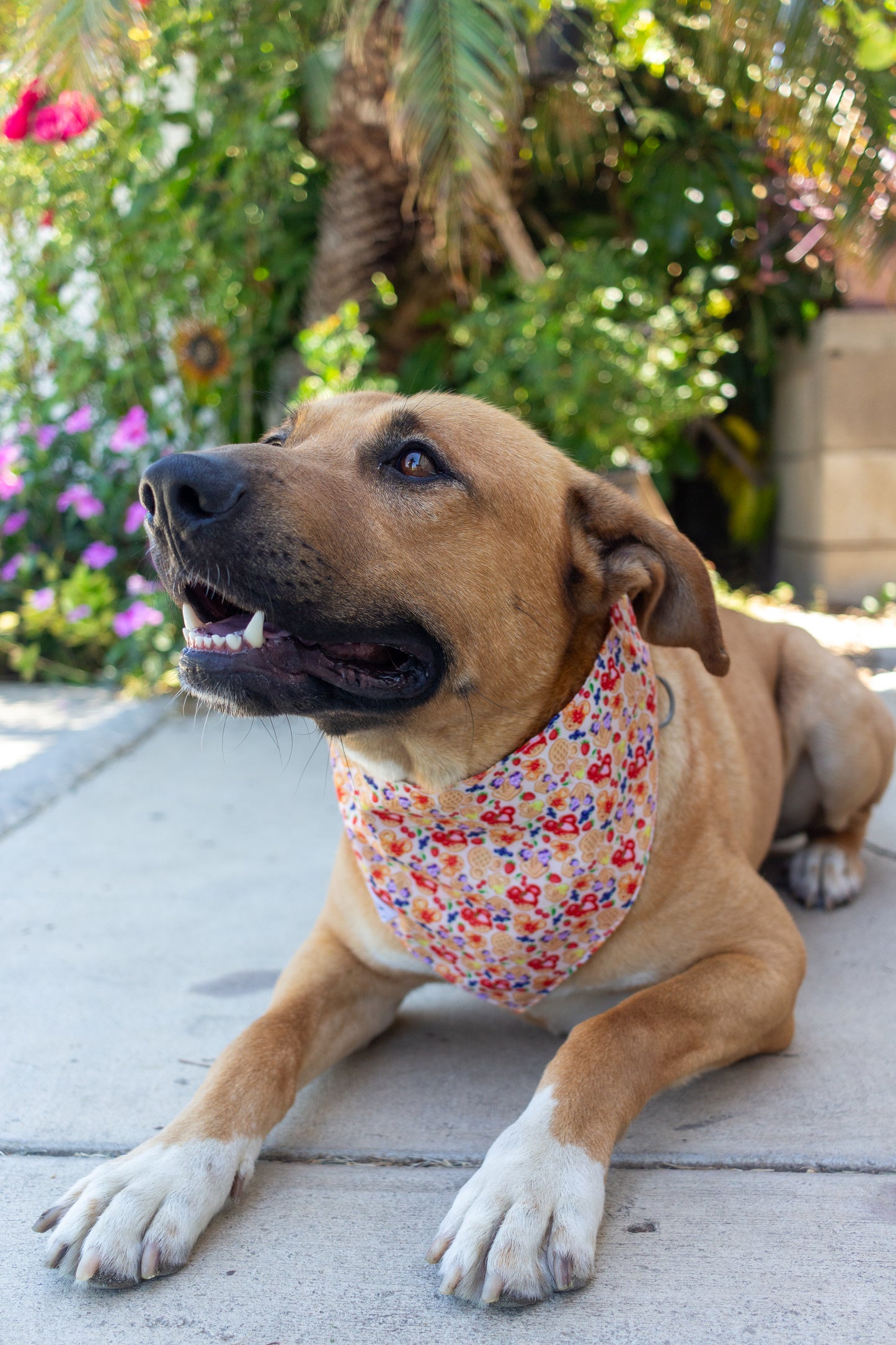 Breakfast Club Bandana