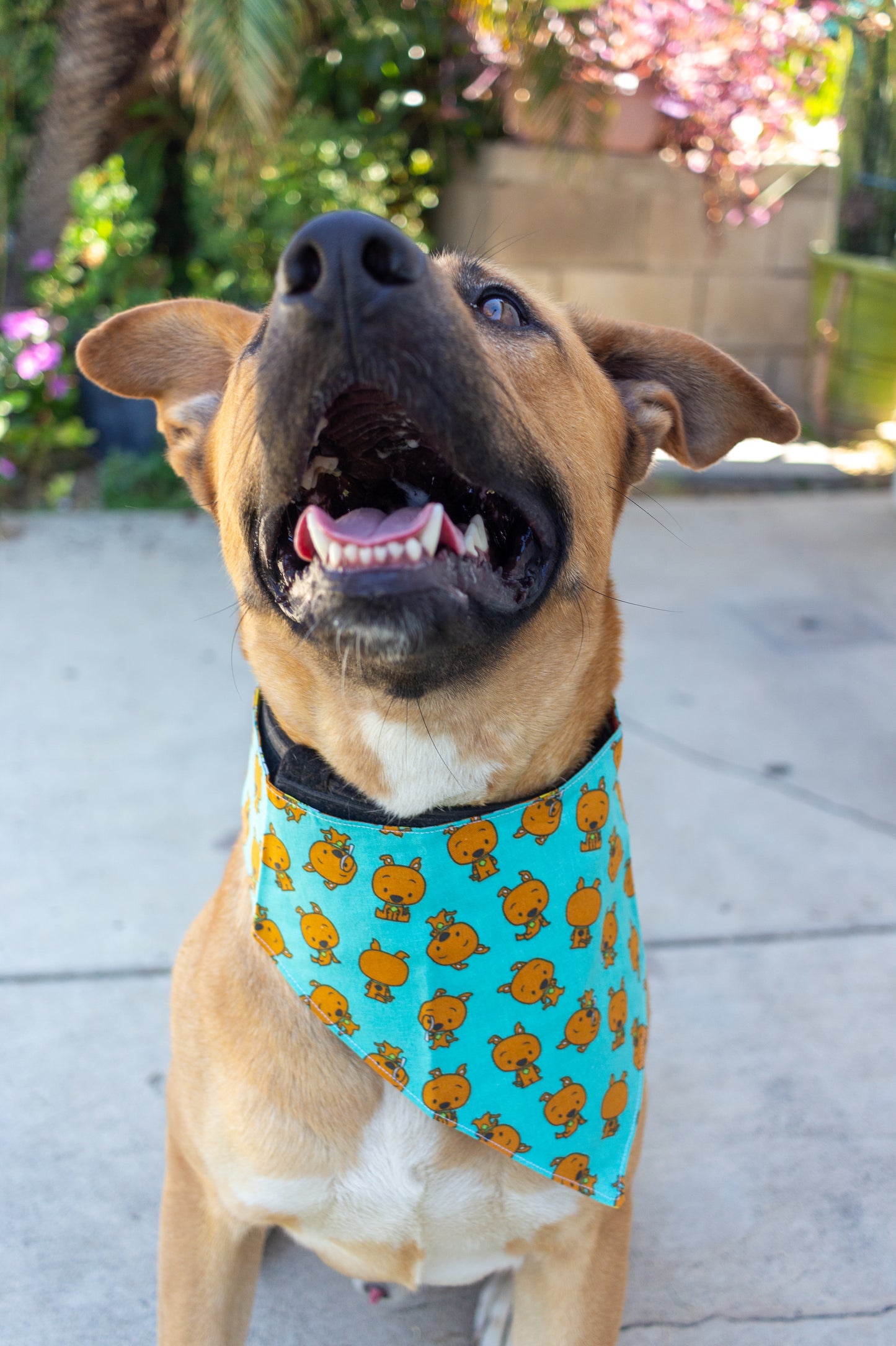 Mystery Dog Bandana