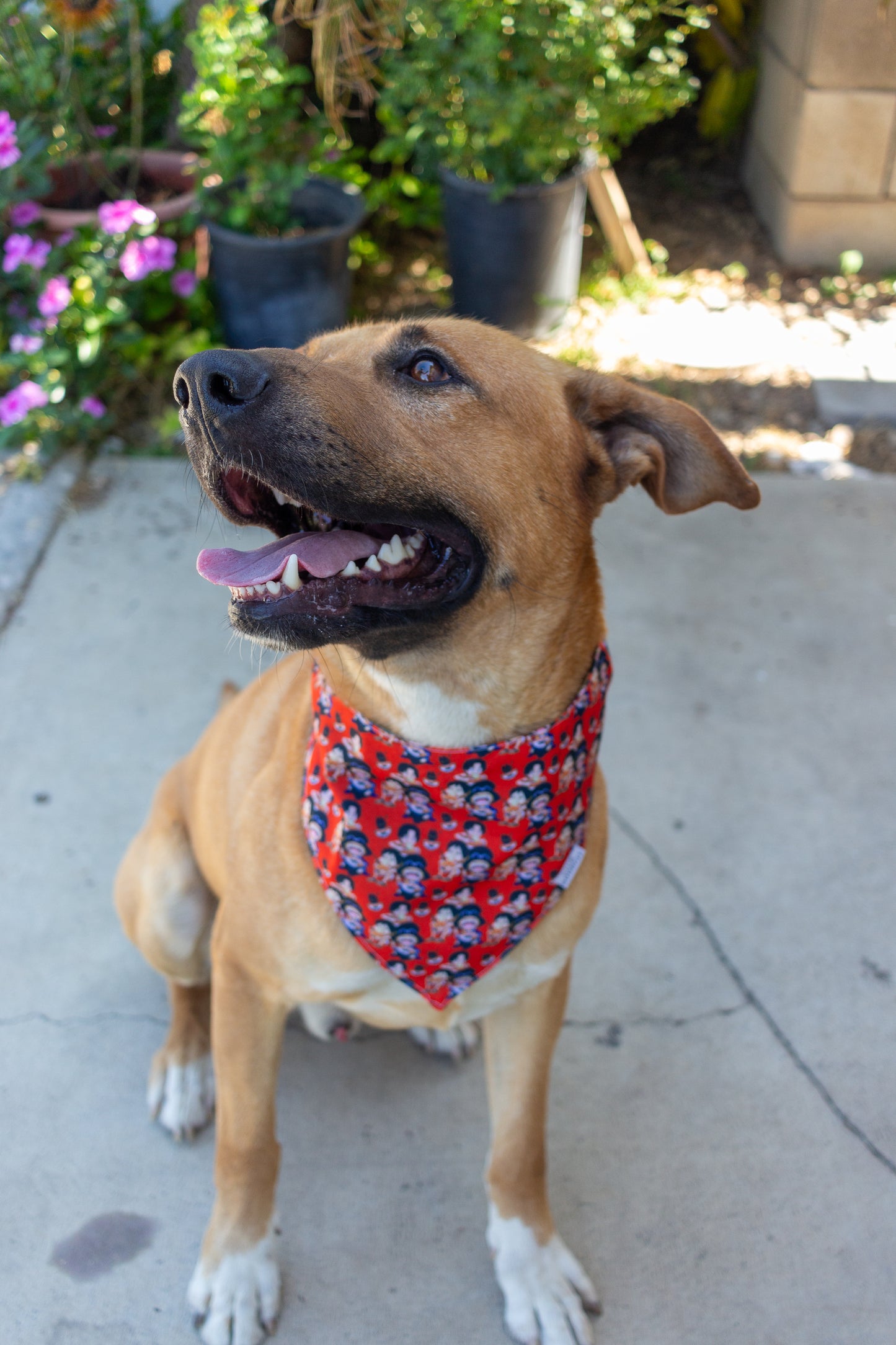 3 Brothers Bandana