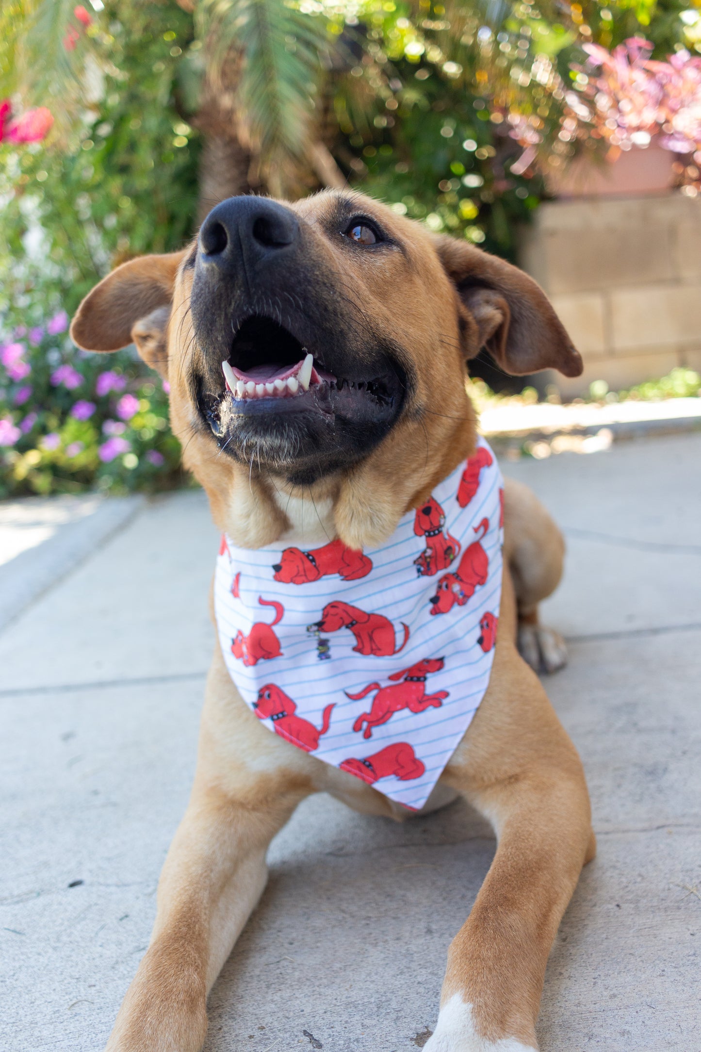 Big Red Dog Bandana