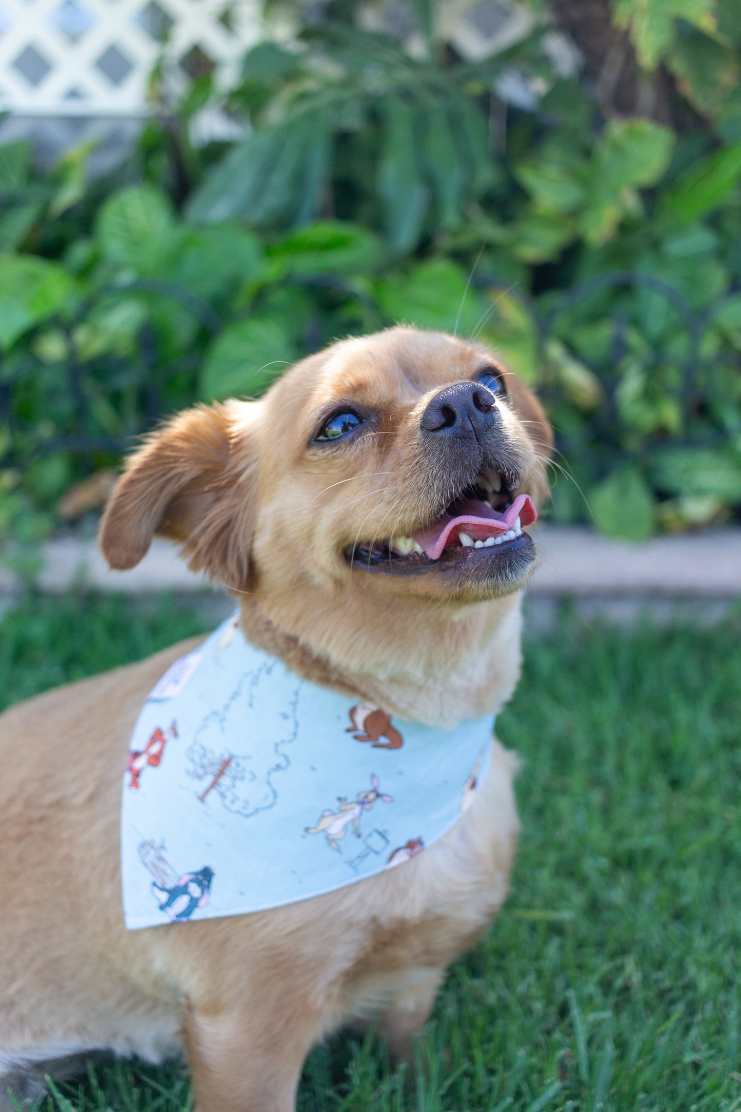 Forest Friends Pet Bandana