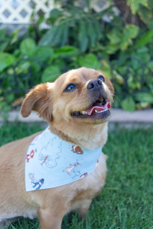 Forest Friends Pet Bandana