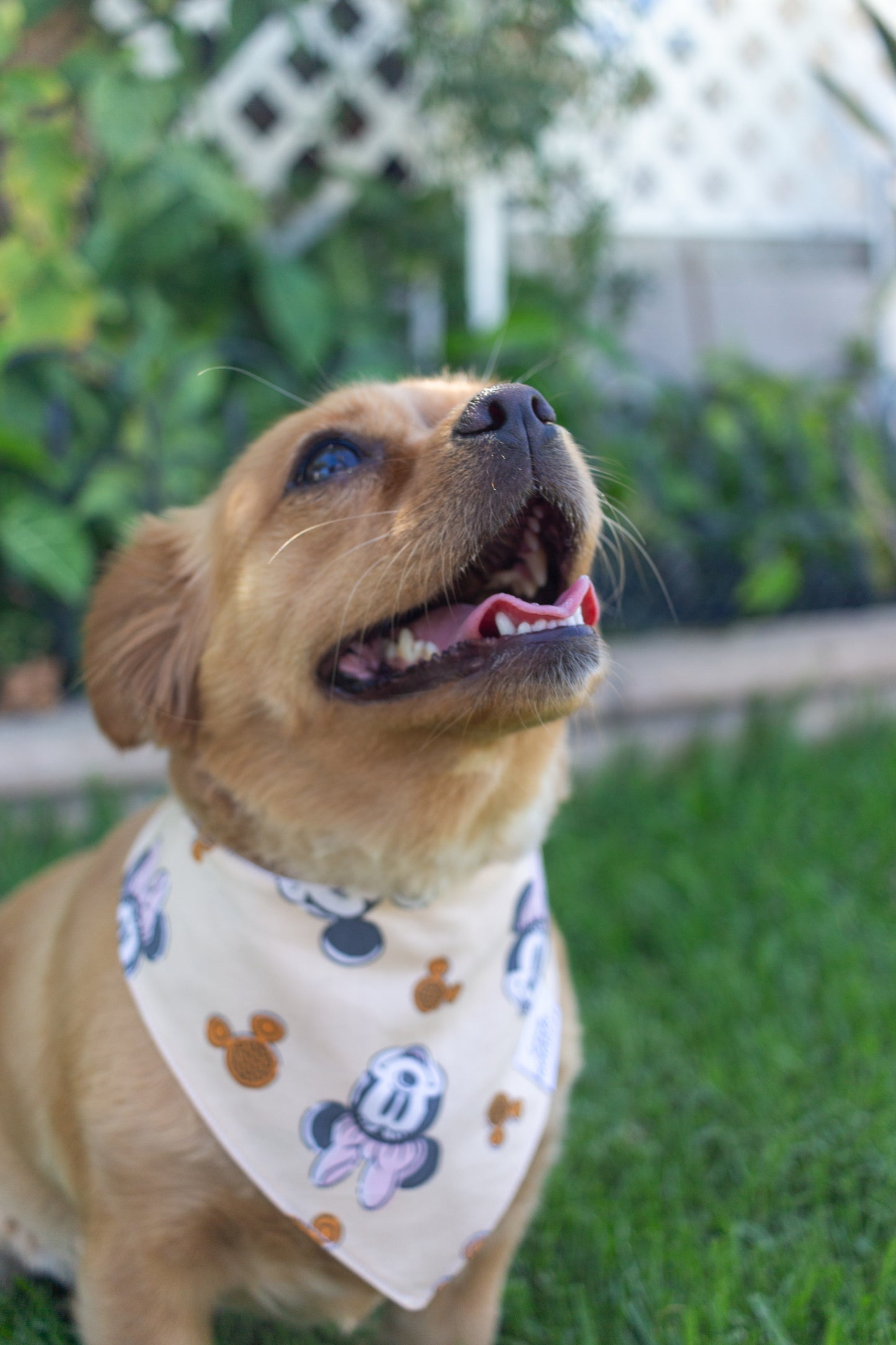 Mouse Breakfast Bandana