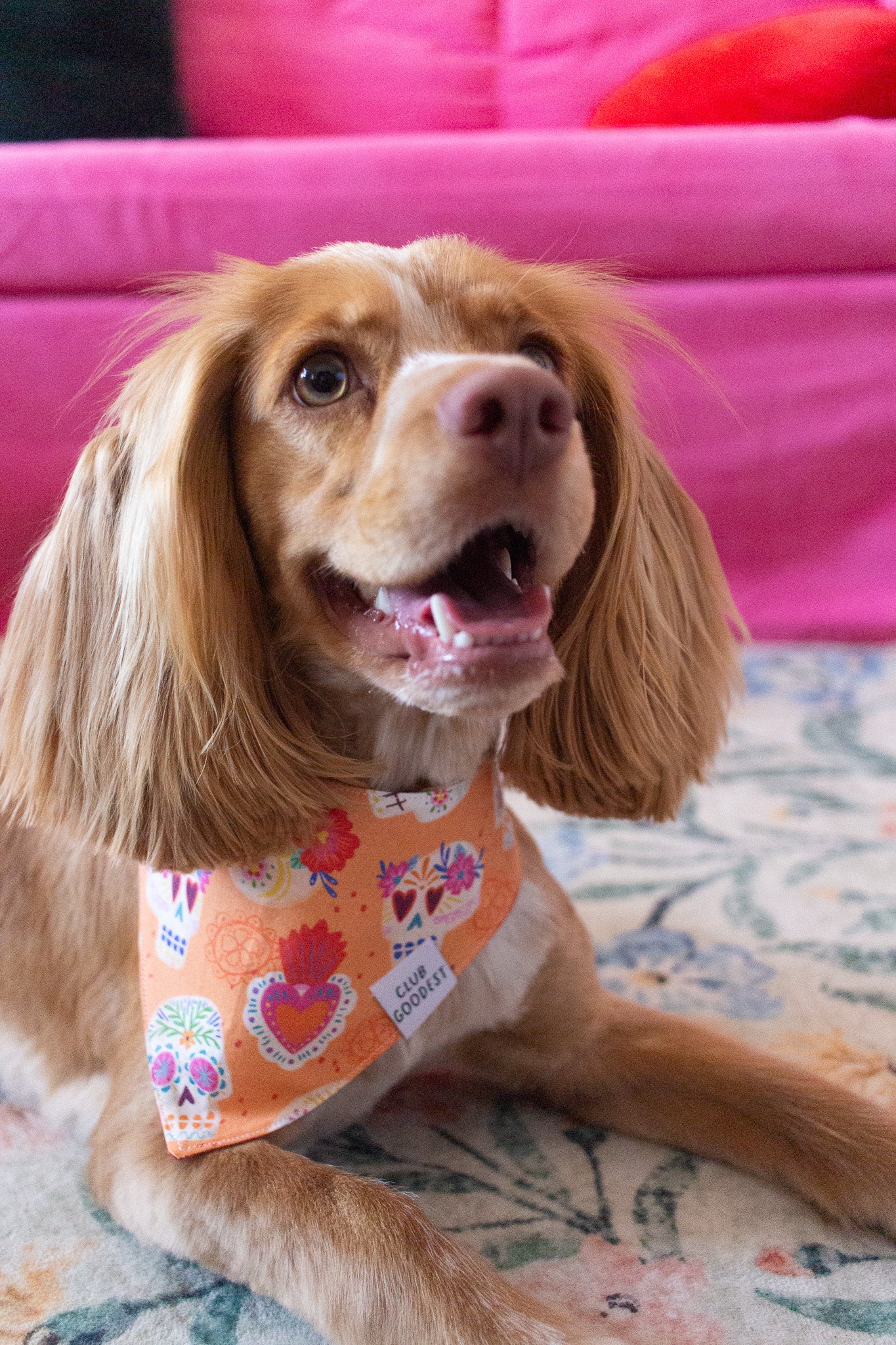 Sugar Skulls Bandana